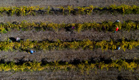 DJI_0065