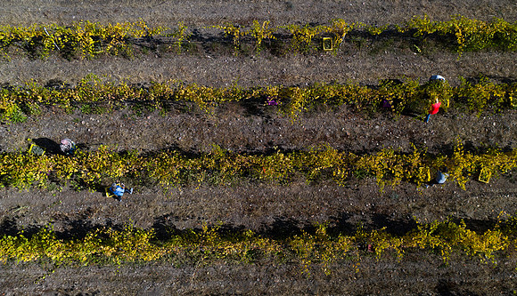 DJI_0065
