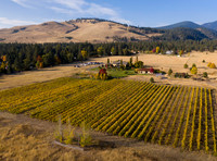 DJI_0110