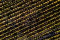 DJI_0105