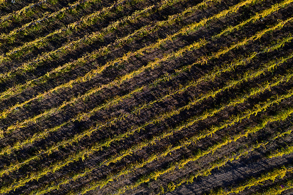 DJI_0105