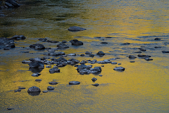 DSC08823
