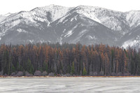 Swan Valley, Montana
